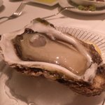 エノテカ・オルモ・デル・カウカソ - 男鹿産岩牡蠣　二個目・・。