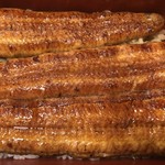 鰻はし本 - 石川さんの鰻の鰻重