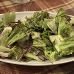 再度山荘 - サラダは食べ放題です
