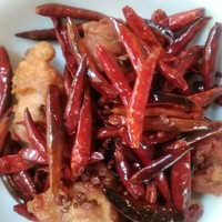 CINA New Modern Chinese - 