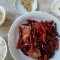 CINA New Modern Chinese - 