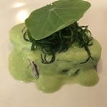 stesso e Magari CHIC - 