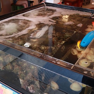 貴美の浜焼き_2