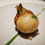 レフェルヴェソンス - 定点