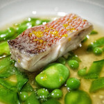 レフェルヴェソンス - うららか