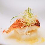 SUGALABO - きんきカブー