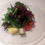 PRIMO - からし菜・わさび菜のミックスサラダ（2018.6）