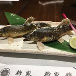 柳家錦 - 和良鮎の塩焼き　２尾