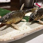 柳家錦 - 和良鮎の塩焼き　２尾