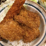 新潟カツ丼 タレカツ - 