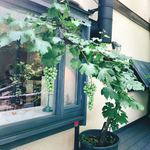 食の円居 なず菜 - 