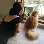 Neko Kafe Bineko - 