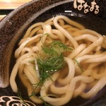 はなまるうどん - かけうどん小