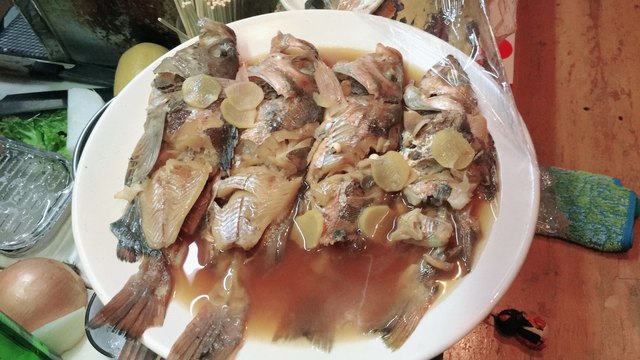 未来 - 酒田（焼き鳥）の写真