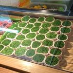 須崎屋台かじしか - 