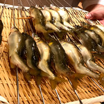 銀座 しのはら - 郡上八幡の鮎