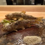 荒木町たつや - 