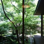 元祖 本吉屋 - 中庭も素敵