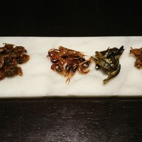 わたべ - 