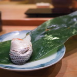 Sushi Matsumoto - 