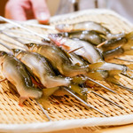 銀座 しのはら - 鮎