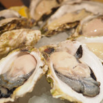 GUMBO&OYSTER BAR - 