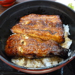 かわはち屋 - うな丼