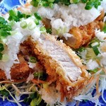 Niigata Katsu Ichi - ねぎおろしロースかつ