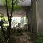 茶房　わらび野 - この先右側に入り口があります。