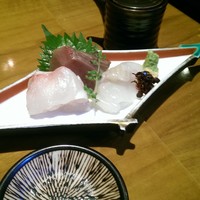 KOiBUMi - 