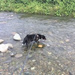 史 - 帰りは近くの河原で水遊び！