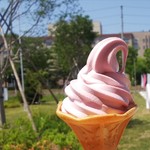 鹿角市産カシスの特製ソフトクリーム￥400