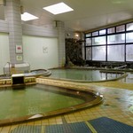 天然わかさぎ温泉いこいの館　わかさぎ - 内湯