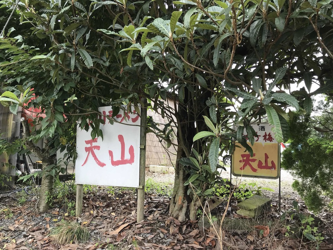 中華四川料理 天山 name=