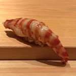 鮨 さかい - 車海老・・茹でたての車海老は甘くて美味しい。
