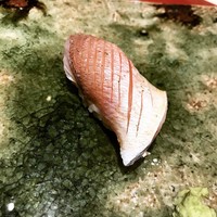 鮨　銀座　鰤門 - 