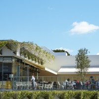 Bills 二子玉川 咖啡店 食べログ 简体中文