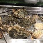 ROKU KANDA - 岩牡蠣