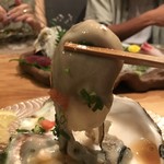 ROKU KANDA - デカい！