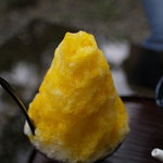 阿左美冷蔵 金崎本店 - まるごとみかん