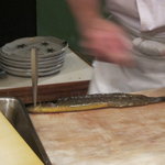 美かさ - 銀宝　当然生きてます