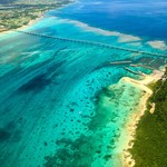 多良間牛 ダグズ・グリル - 