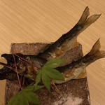旬菜 おぐら家 - 那珂川の天然鮎の山椒煮