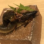 旬菜 おぐら家 - 那珂川の天然鮎の山椒煮