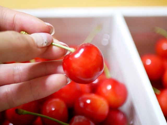 中根農園 - 西米沢（その他）の写真