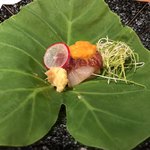 馬肉と剣先烏賊の雲丹溜り醤油のせ