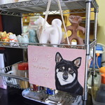 ピッザピッザピッザ - 