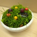 京懐石 吉泉 - 妖精達の苔森