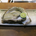 Shutei Pukupuku - 徳島産 岩牡蠣