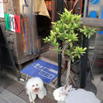 白ワイン×魚介 港町バル - June 28, 2018